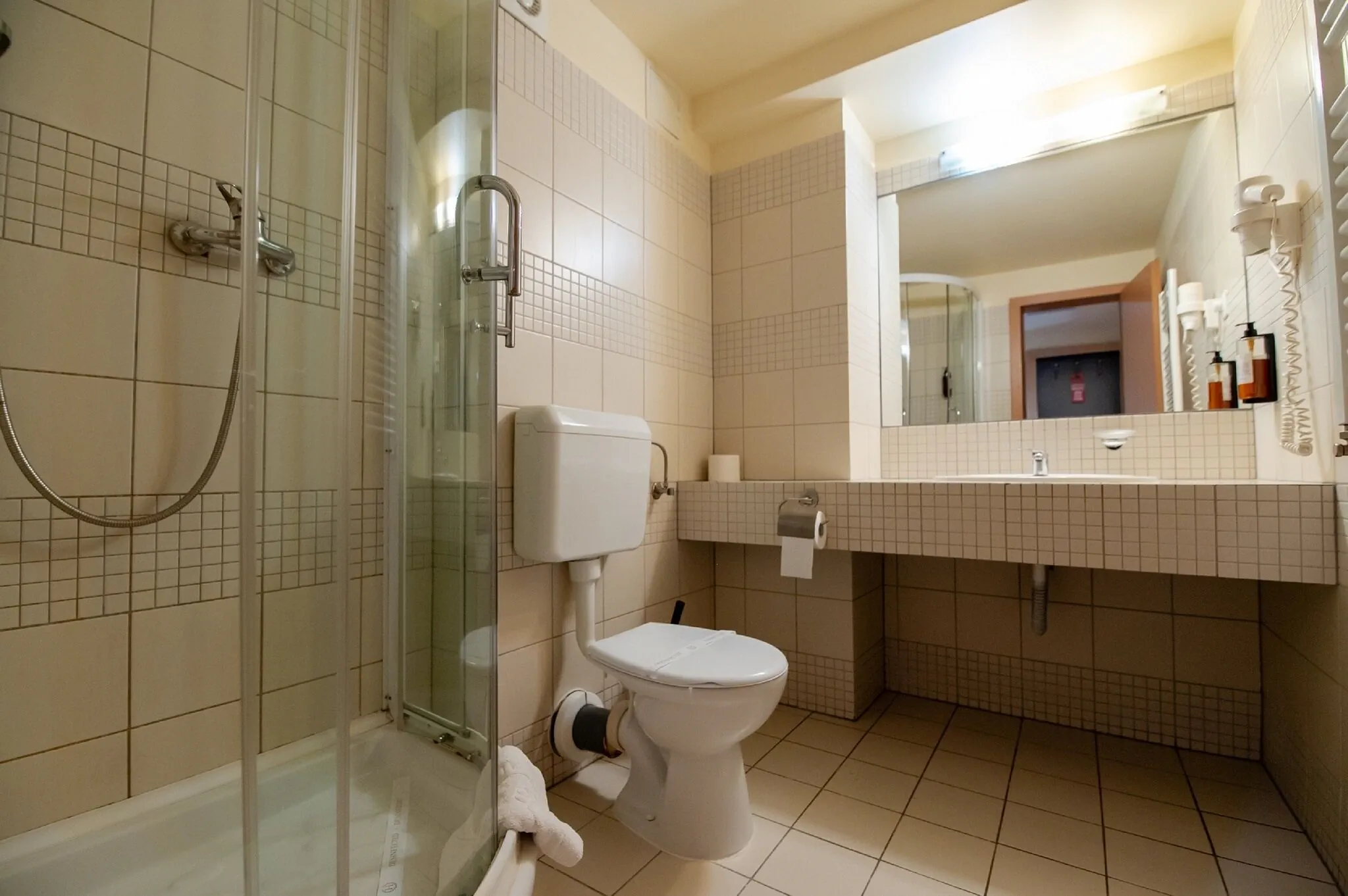 Hotel Oxford Inn & Suites Timișoara - foto 10