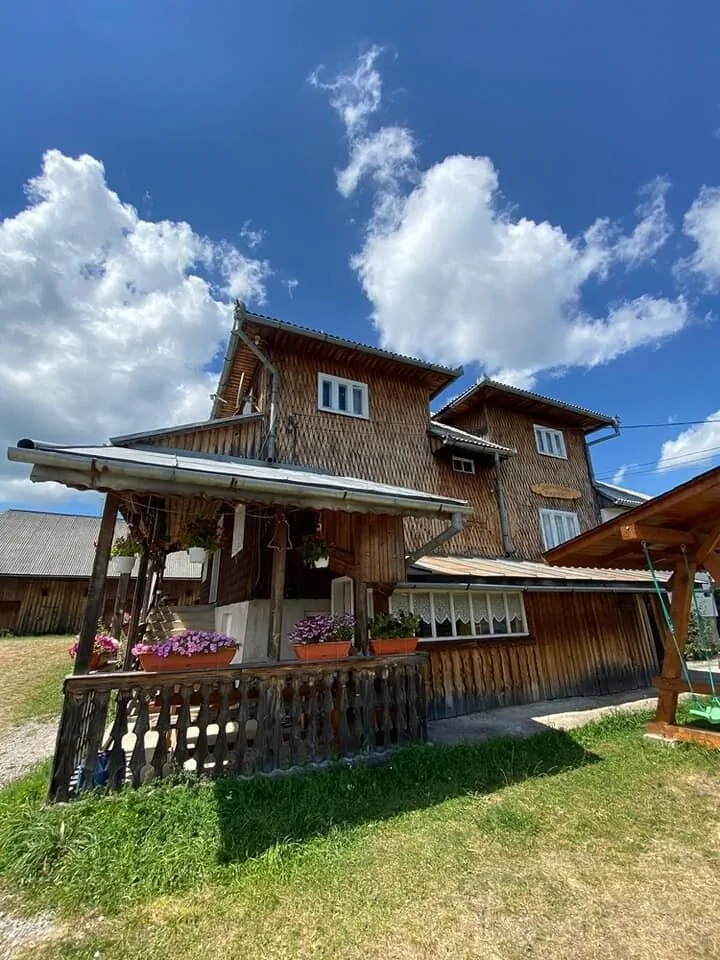 Cabana Georgiana Dealu Negru – Dealu Negru, România