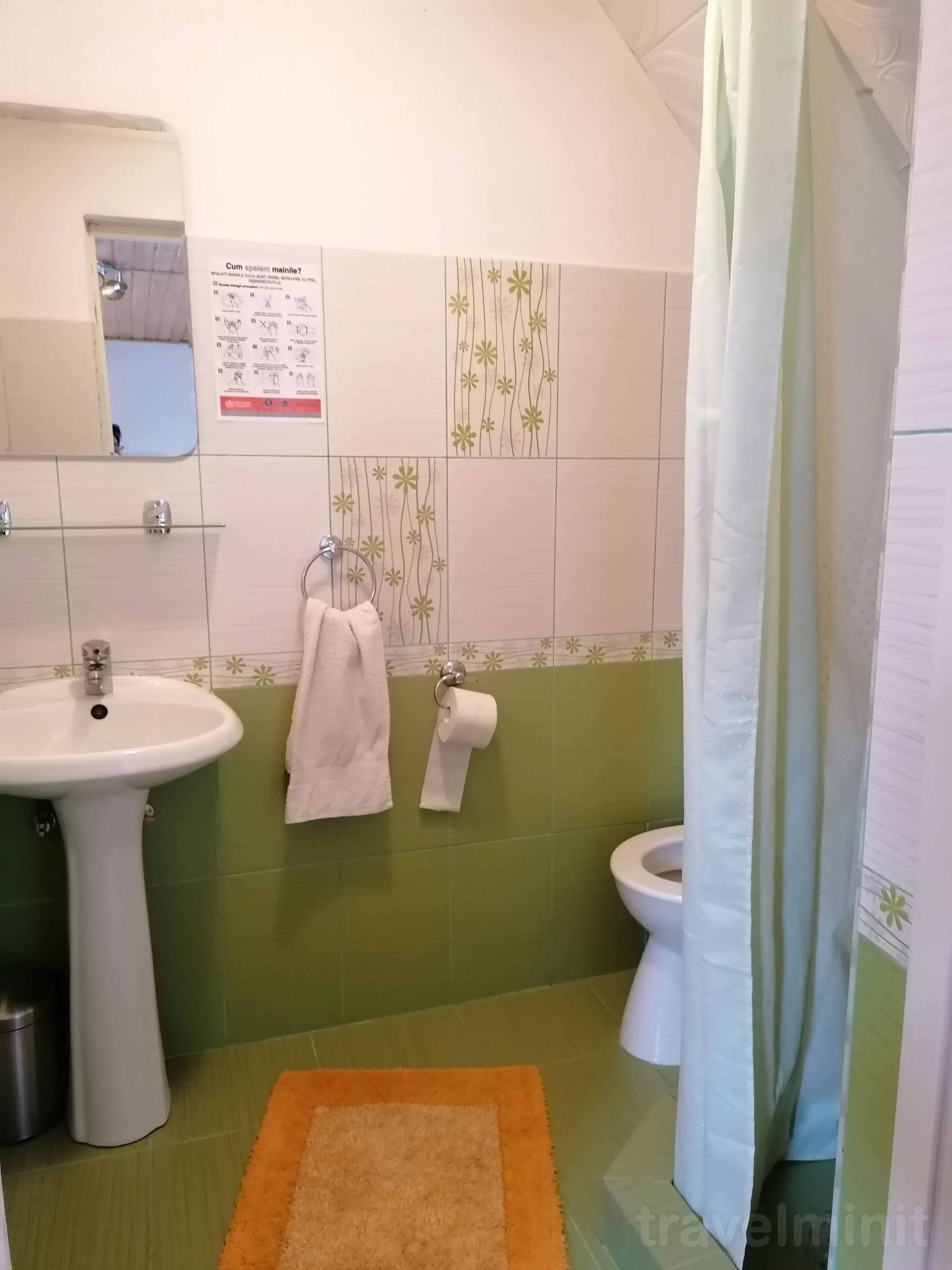 Pensiunea Steliana Sibiel - foto 8