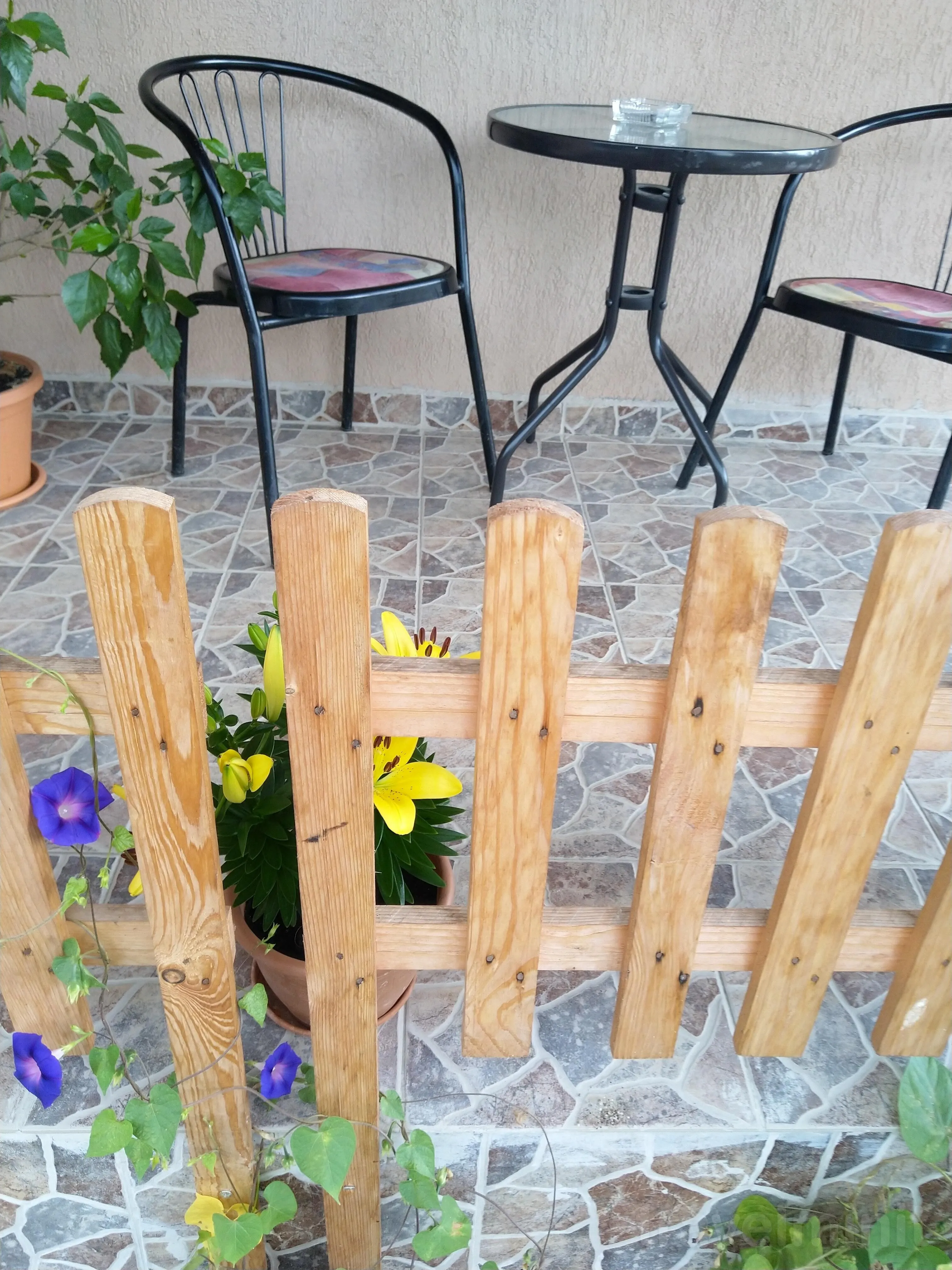 Casa Crina Băile 1 Mai – Băile 1 Mai, România