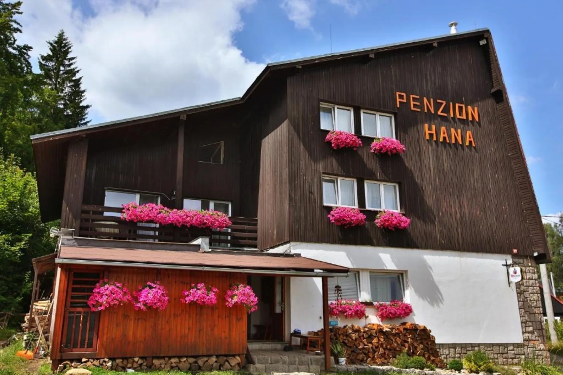 Penzion Hana Albrechtice v Jizerských horách – Albrechtice, Republica Cehă