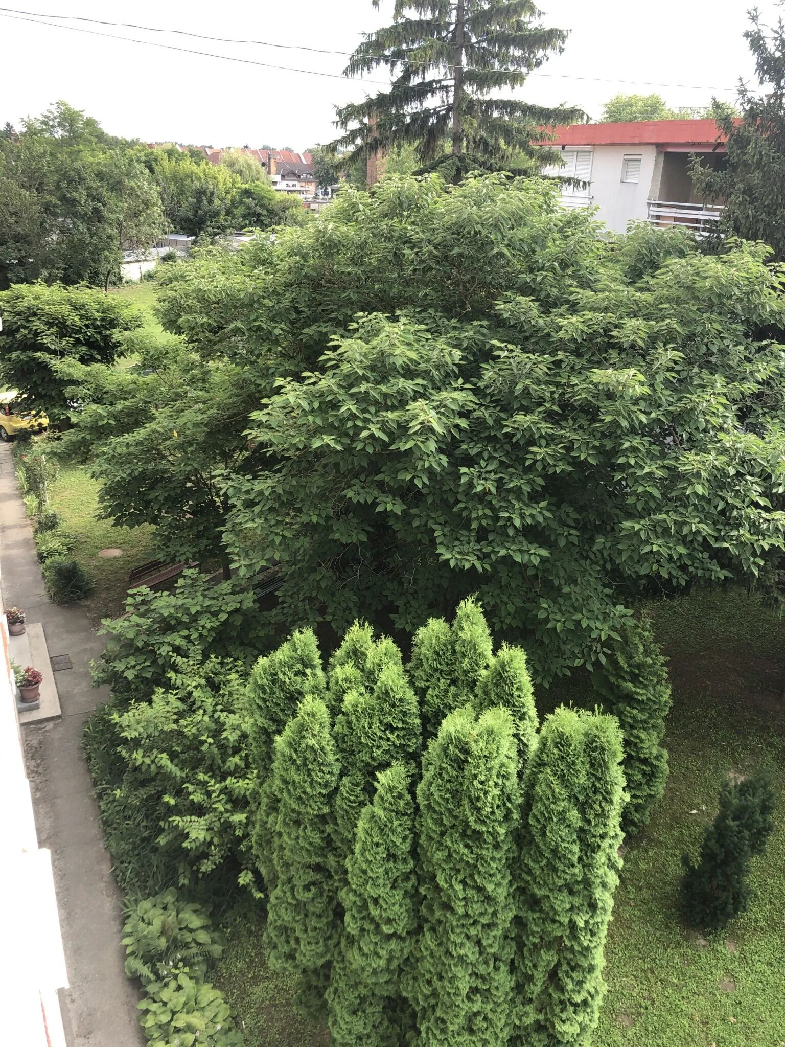 Szieszta Szófia Apartman Harkány - foto 7