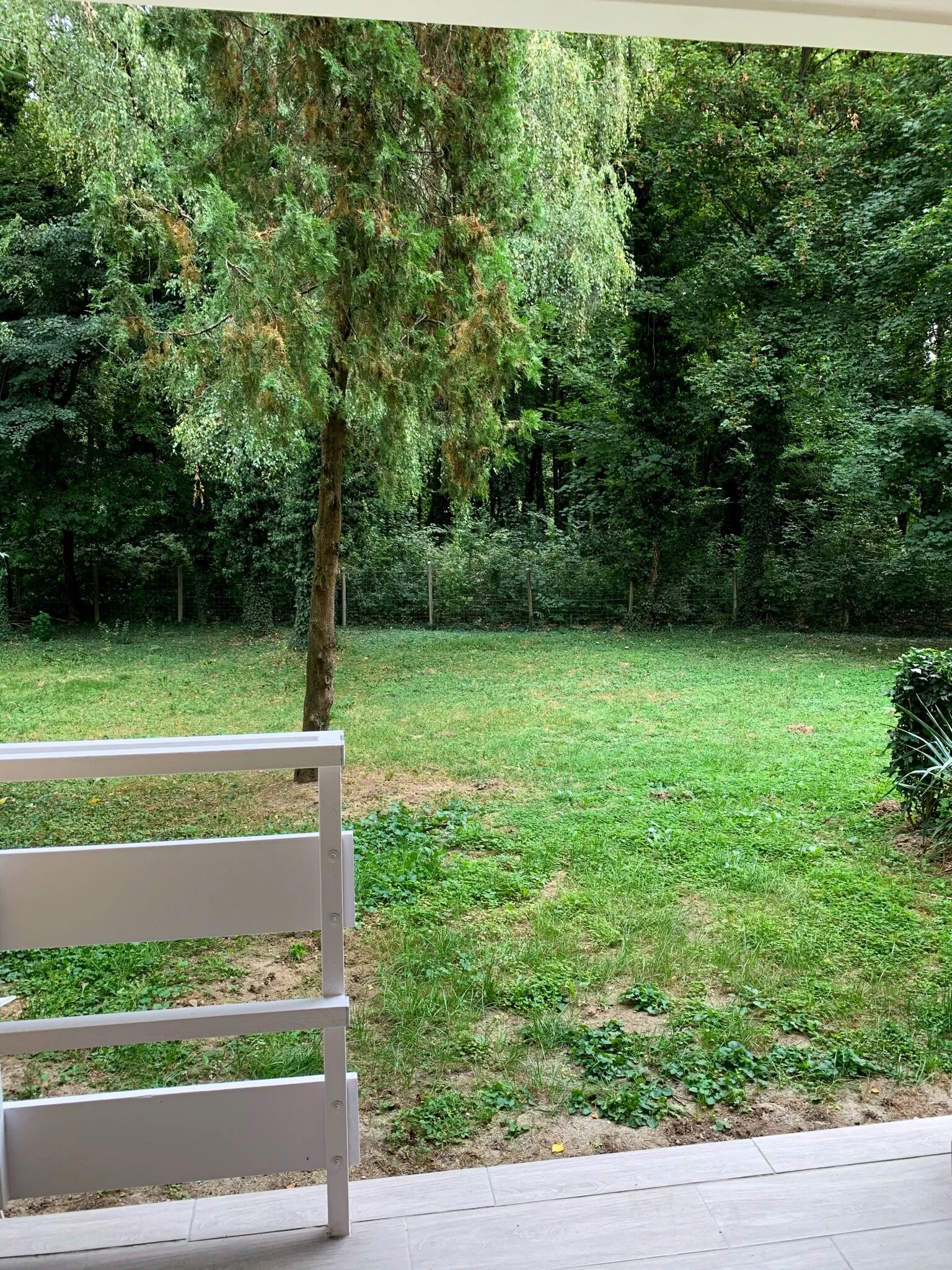 Szieszta Szófia Apartman Harkány - foto 5