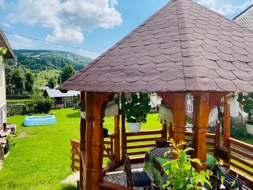 Pensiunea Anuca Poienile Izei – Poienile Izei, România