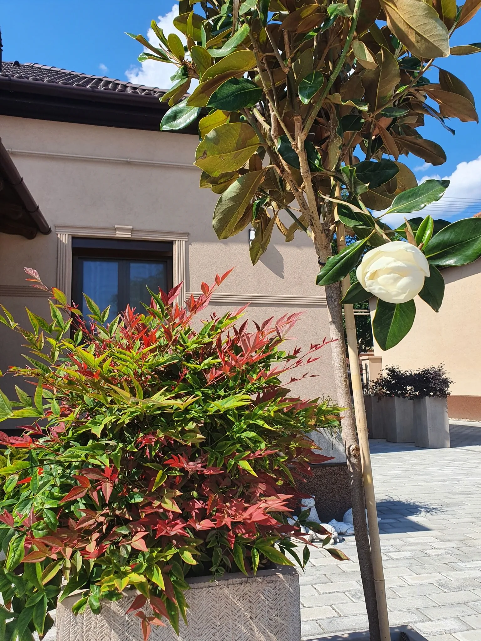 Harmony Apartments Mórahalom – Mórahalom, Ungaria