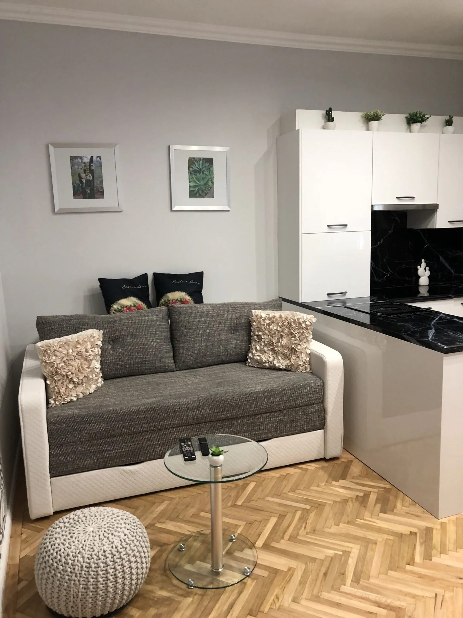 Kaktusz Apartman Szeged - foto 5