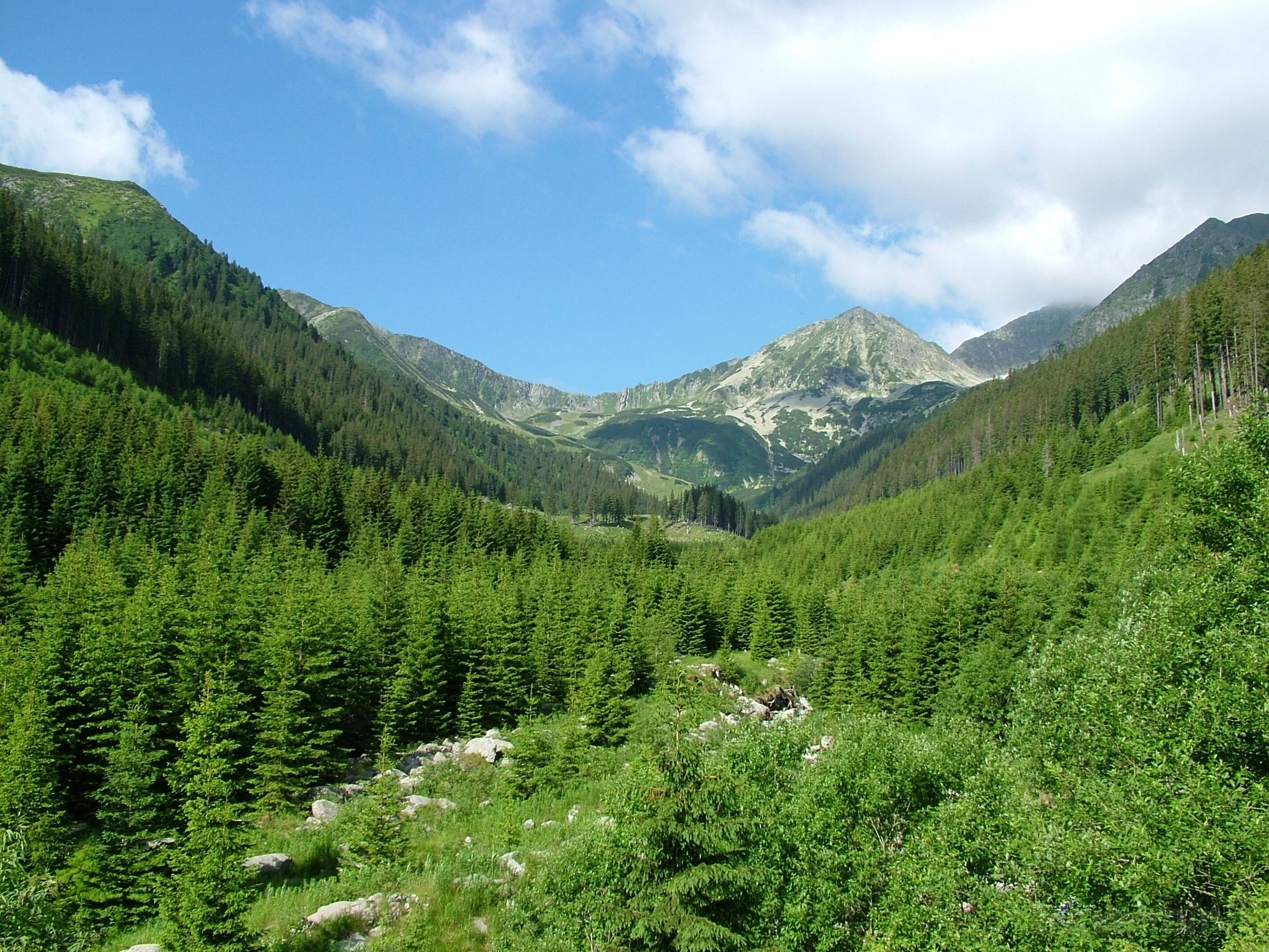 Pensiunea Popasul din Luncă Pui – Pui, România