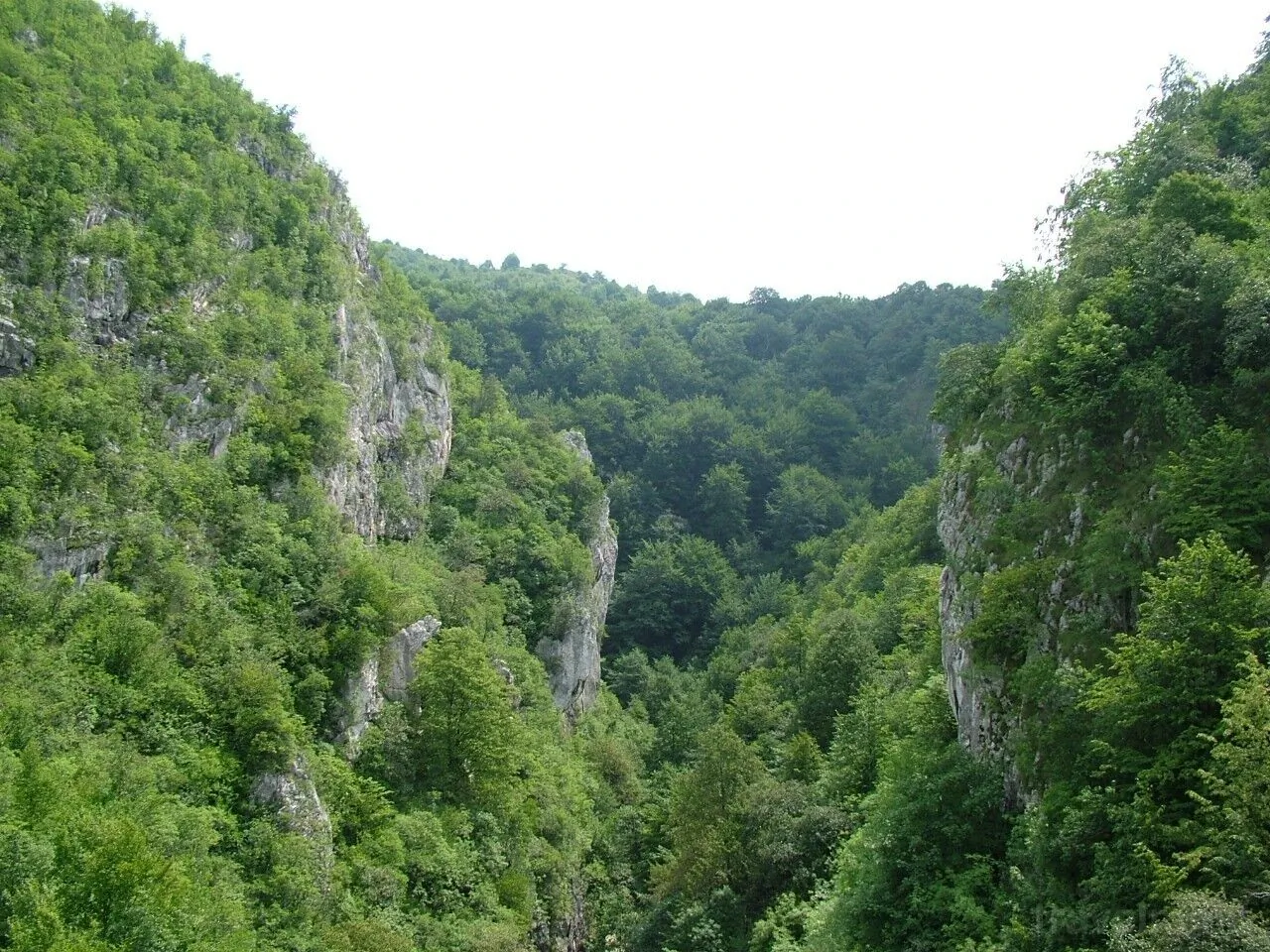 Pensiunea Popasul din Luncă Pui – Pui, România