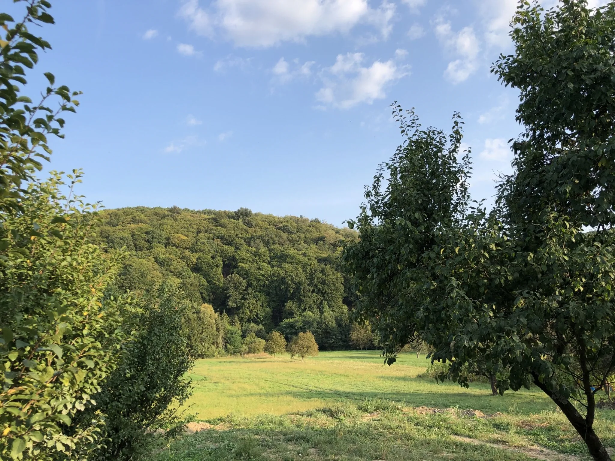 Heted 7 Panzió Szuha – Szuha, Maďarsko