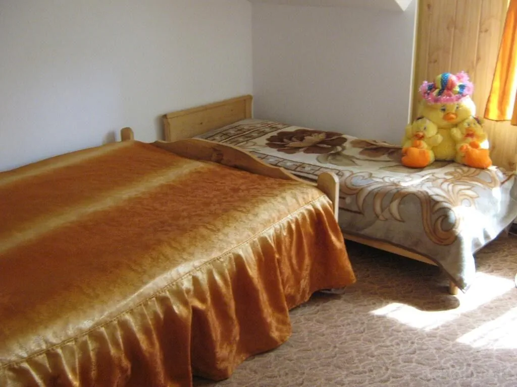 Pensiunea Dor de Bucovina Câmpulung Moldovenesc - foto 5