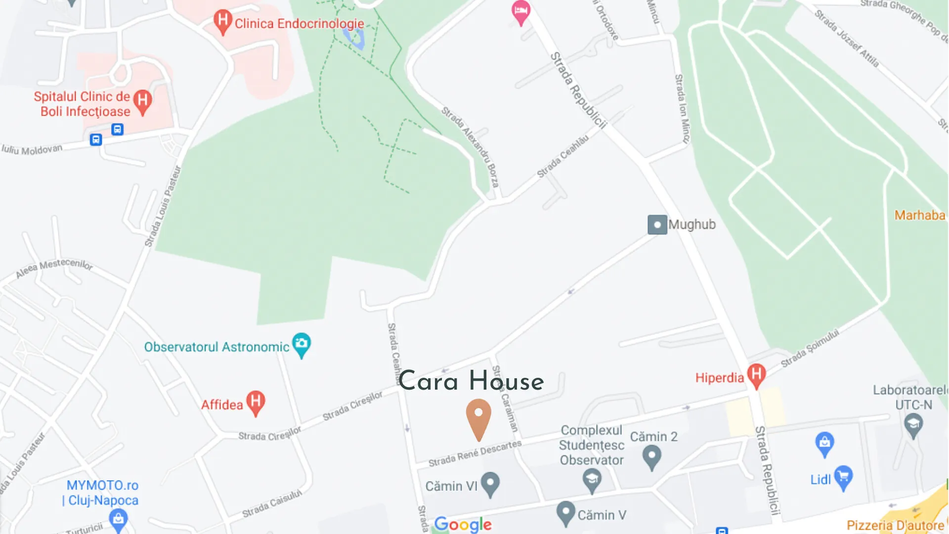 Studio Cara Cluj-Napoca – Cluj-Napoca, România