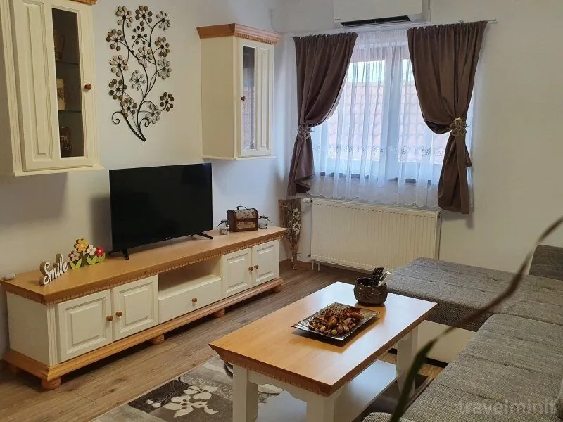 Apartament Smiley Flowers Sibiu - foto 5