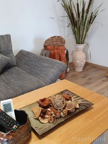 Apartament Smiley Flowers Sibiu - foto 9