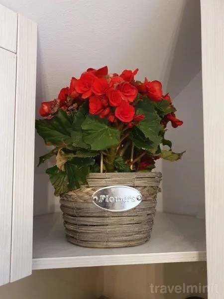 Apartament Smiley Flowers Sibiu - foto 10