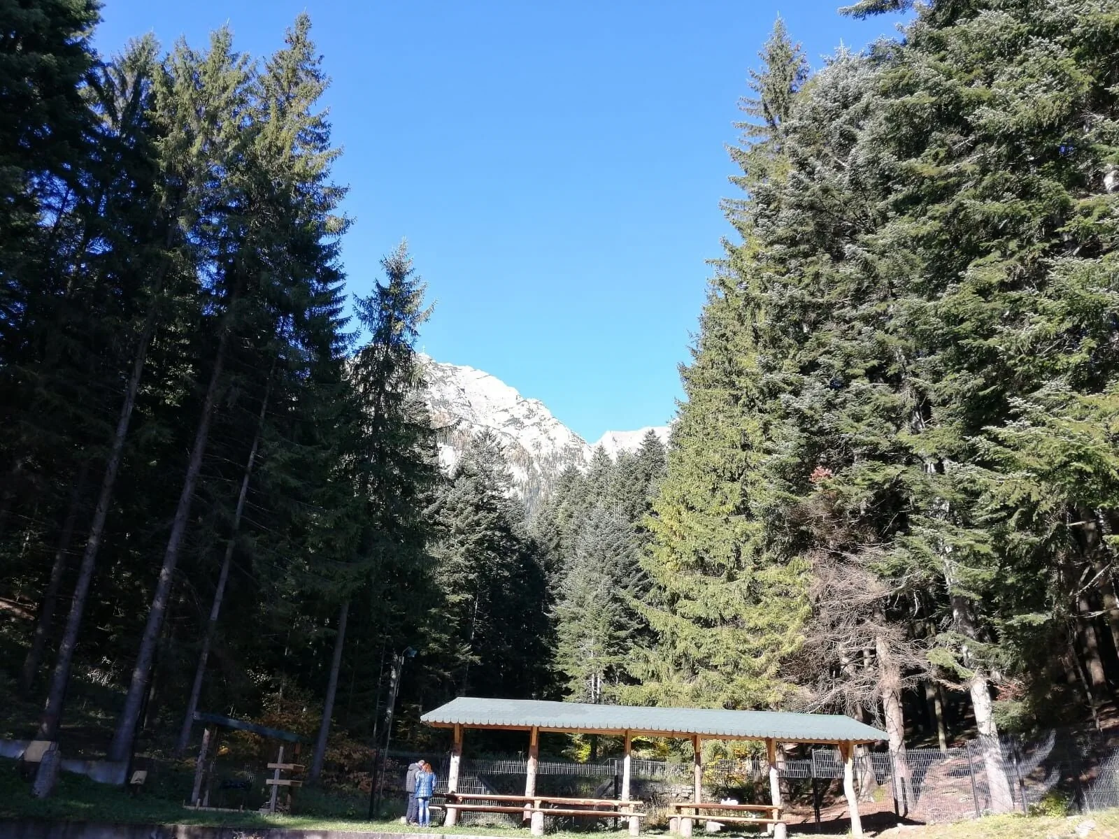 Hostel CPPI Nord Bușteni – Buşteni, România