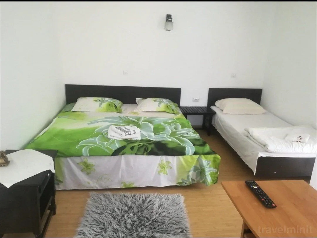 Vila Yanis Călimănești - foto 8