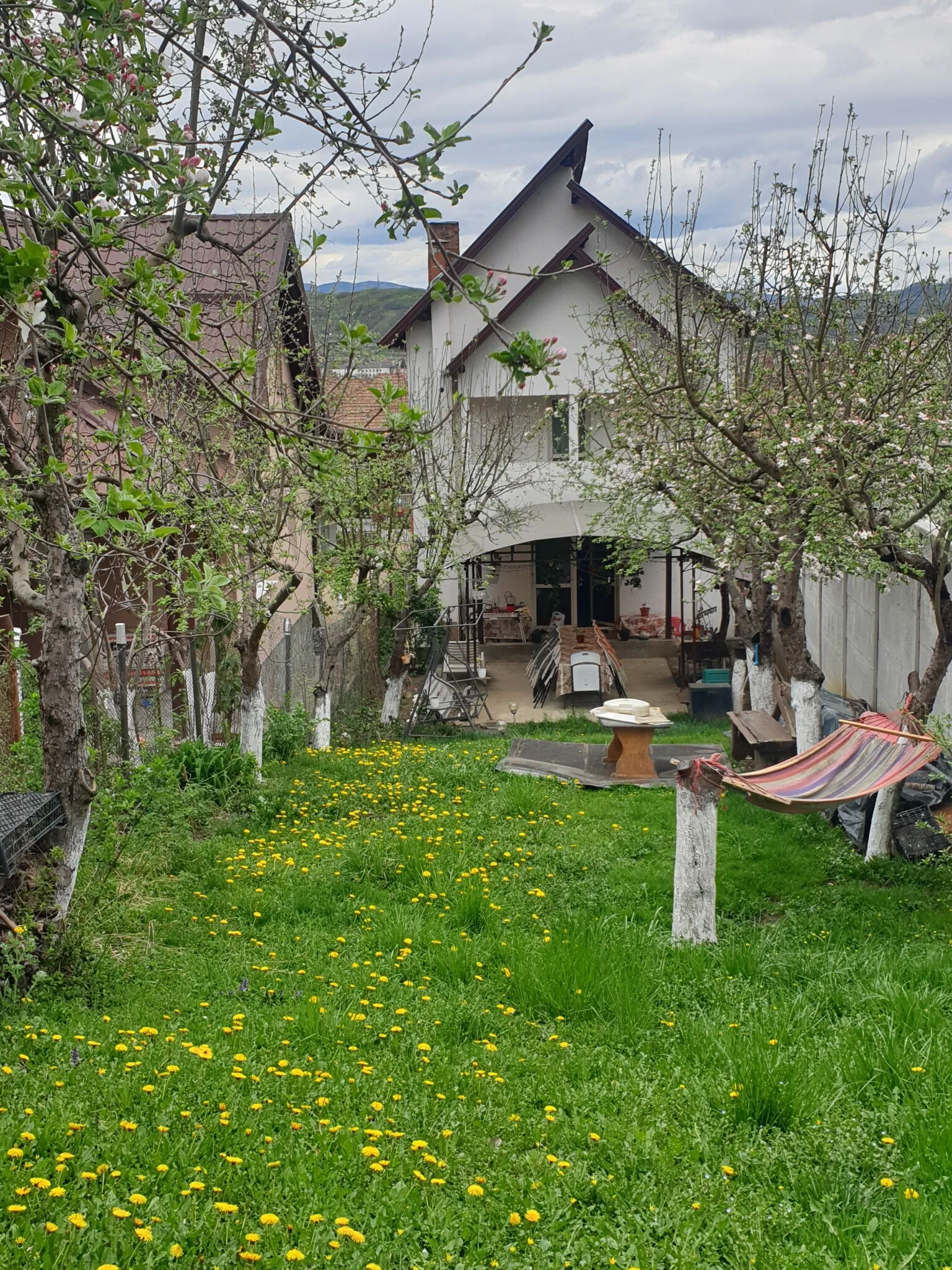 Vila Yanis Călimănești - foto 1