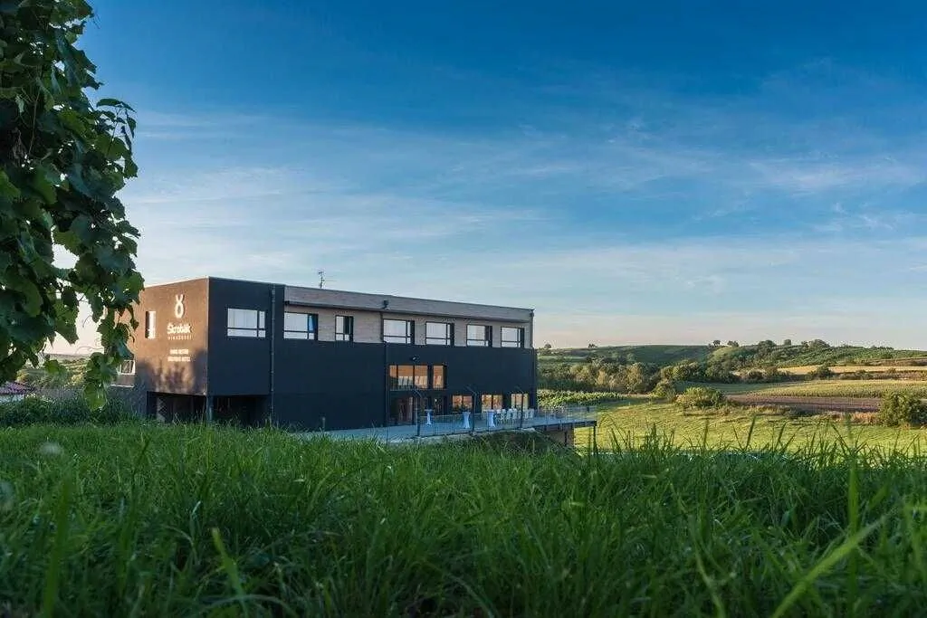 Boutique Hotel Škrobák Čejkovice – Čejkovice, Česká republika