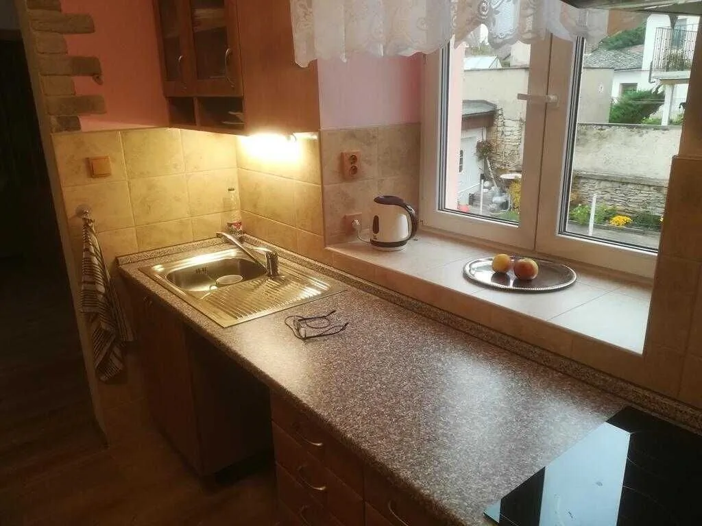 Apartmány pod Barunčinou školou Česká Skalice - foto 9