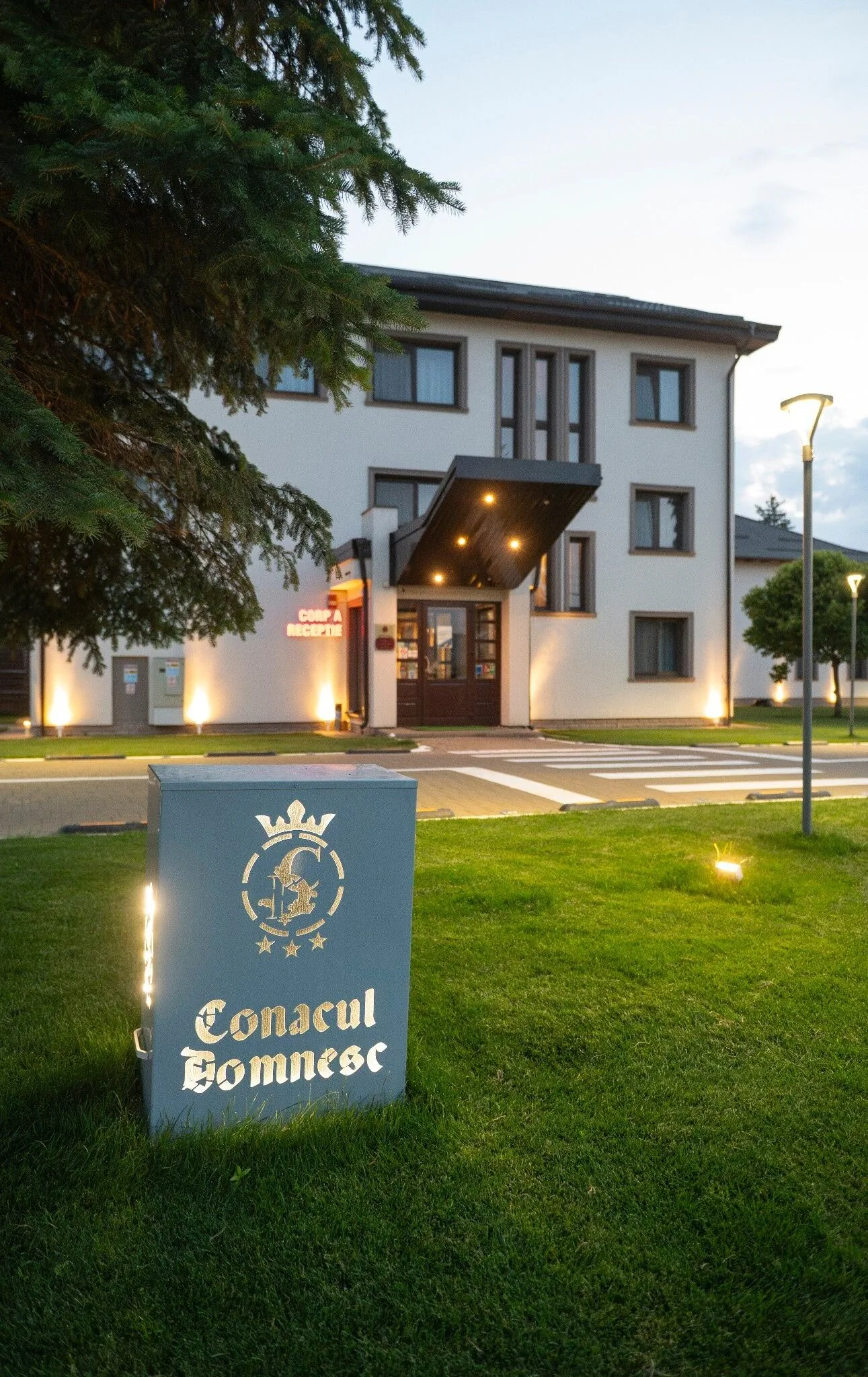 Hotel Conacul Domnesc Șcheia - foto 4