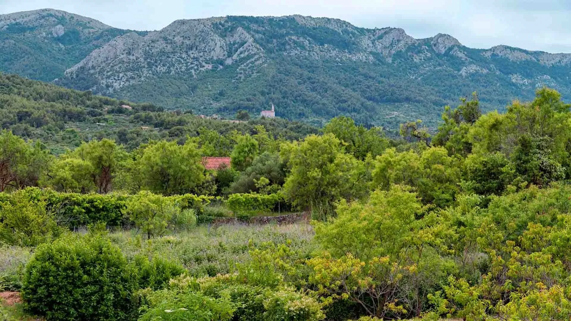 Holiday House Sunshine Jelsa – Comuna Jelsa, Croația