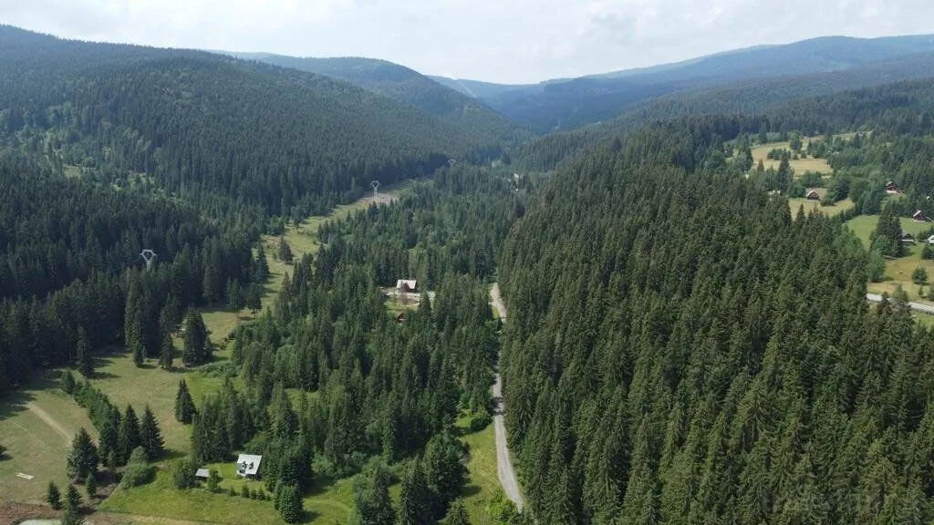 Casa de vacanță Pin Borzont – Borzont, România