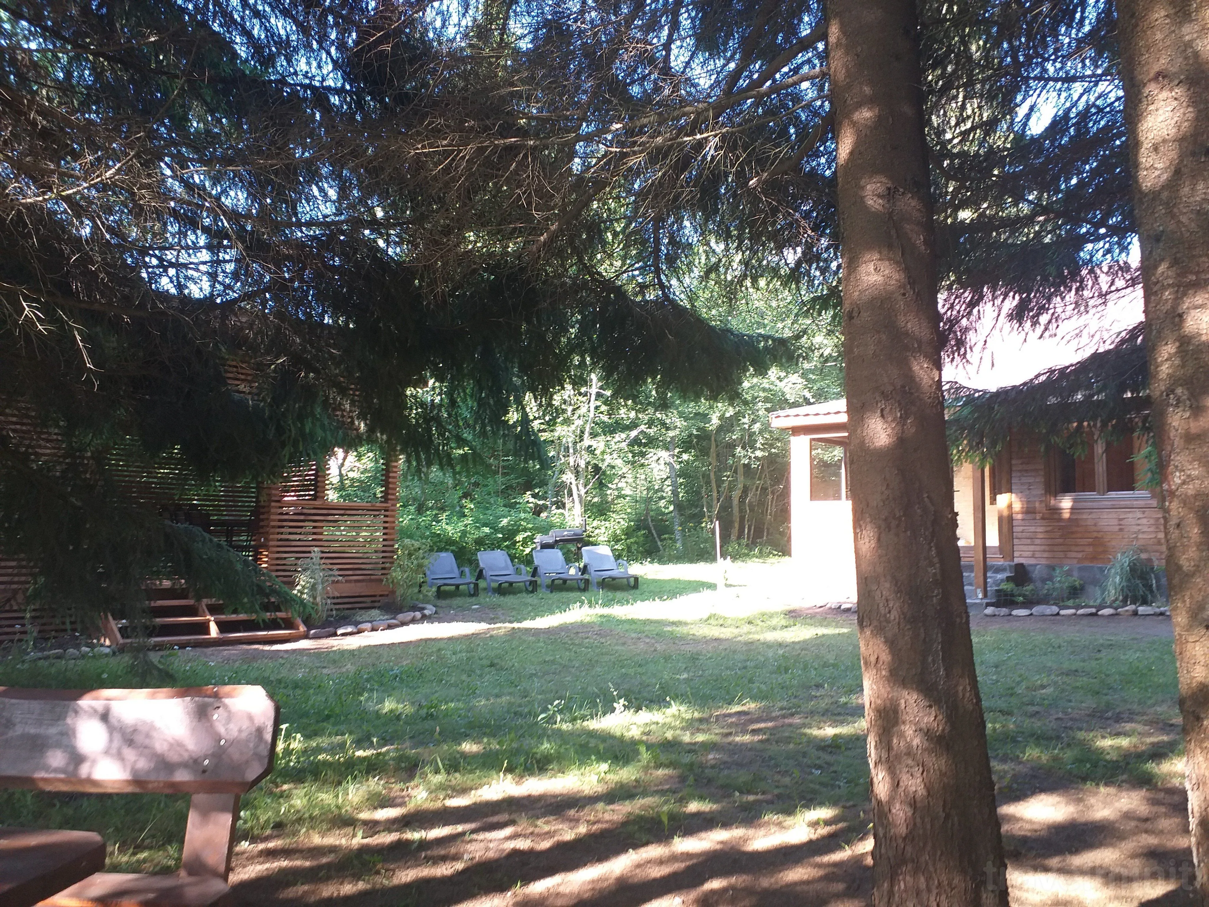 Casa de vacanță Pin Borzont – Borzont, România