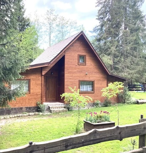 Casa de vacanță Pin Borzont – Borzont, România