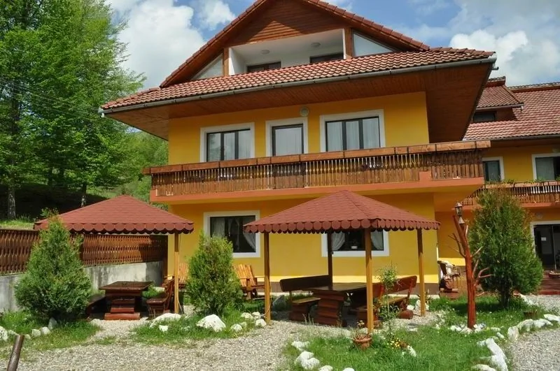 Pensiunea Casa Apuseana Lupșa – Lupşa, România