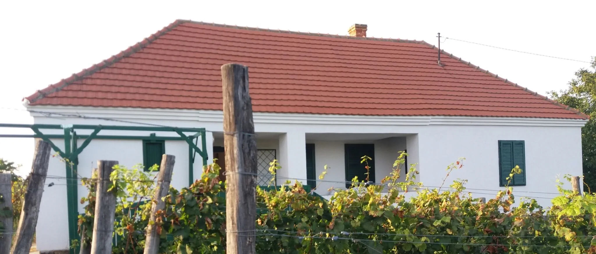 Szent Márton Vendégház Somló Doba - foto 1