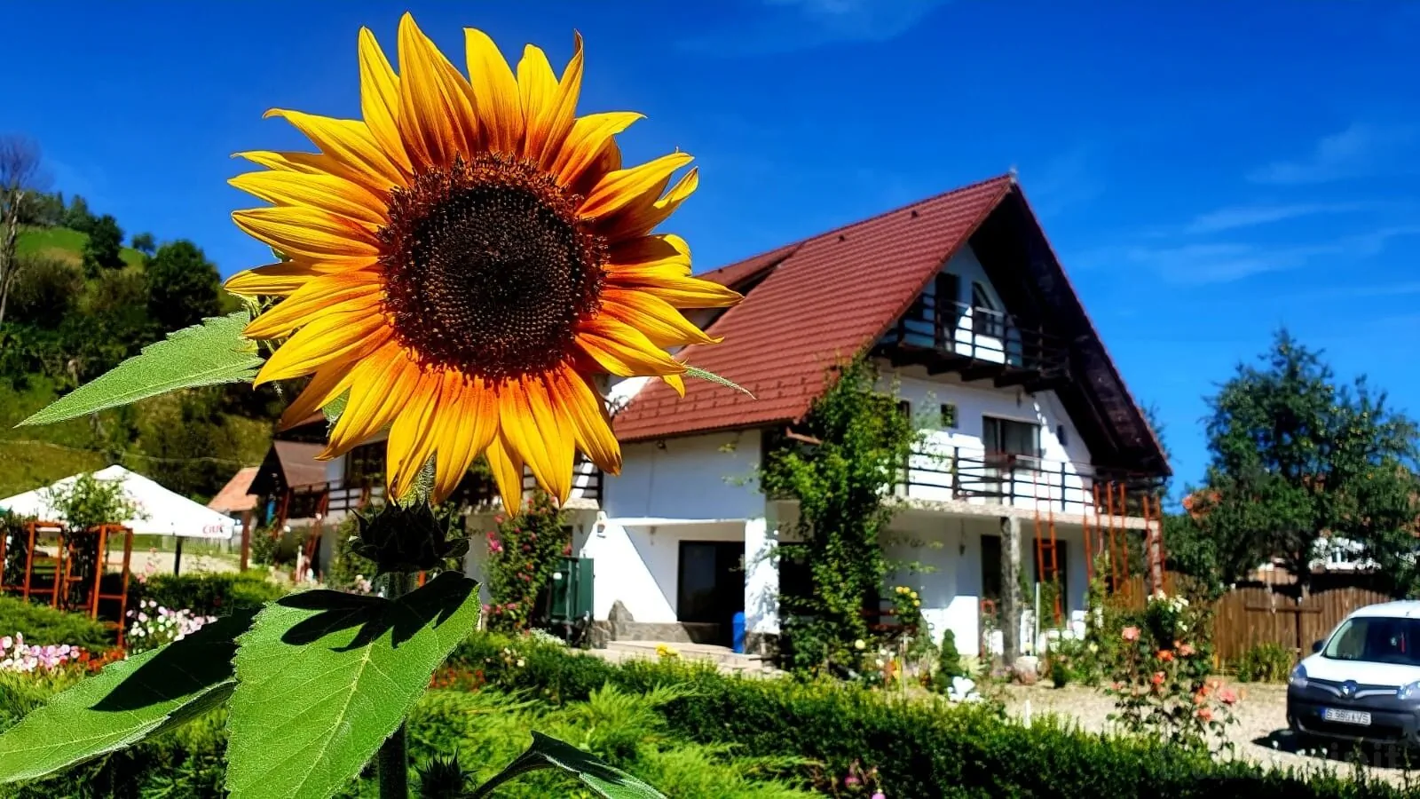 Casa Negrea Bran – Bran, România