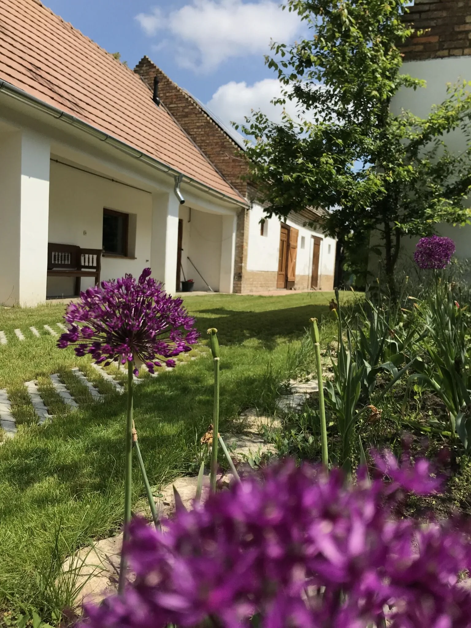 Bakony Tornáca Vendégház Bakonypéterd – Bakonypéterd, Ungaria