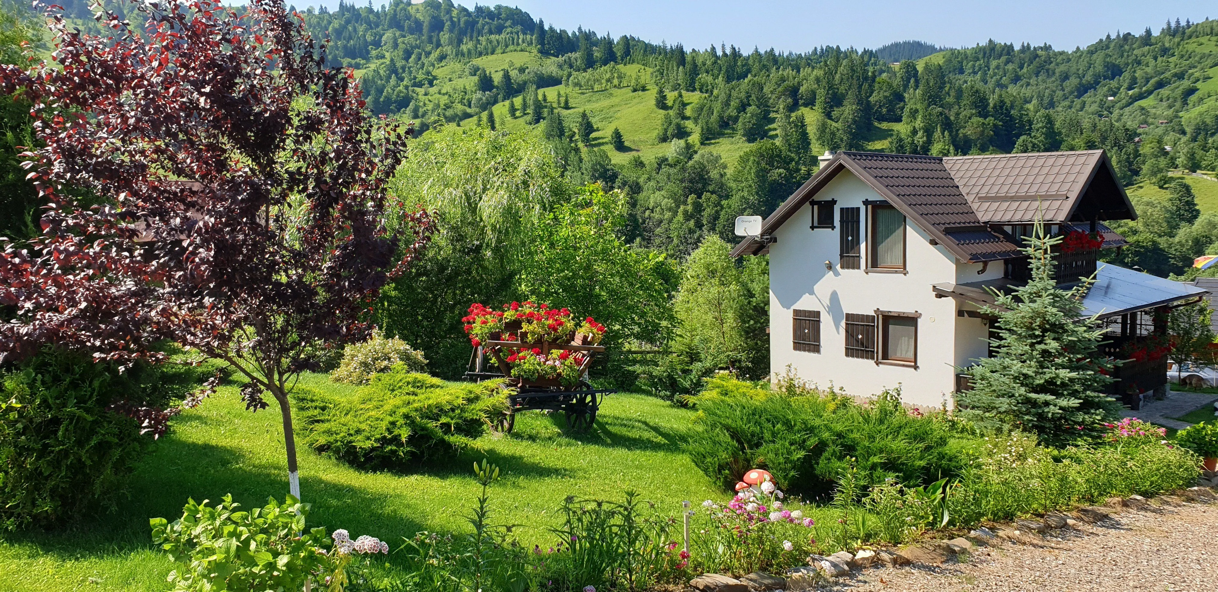 Casuta Izvorul Raraului (Duplex) Câmpulung Moldovenesc – Câmpulung Moldovenesc, România