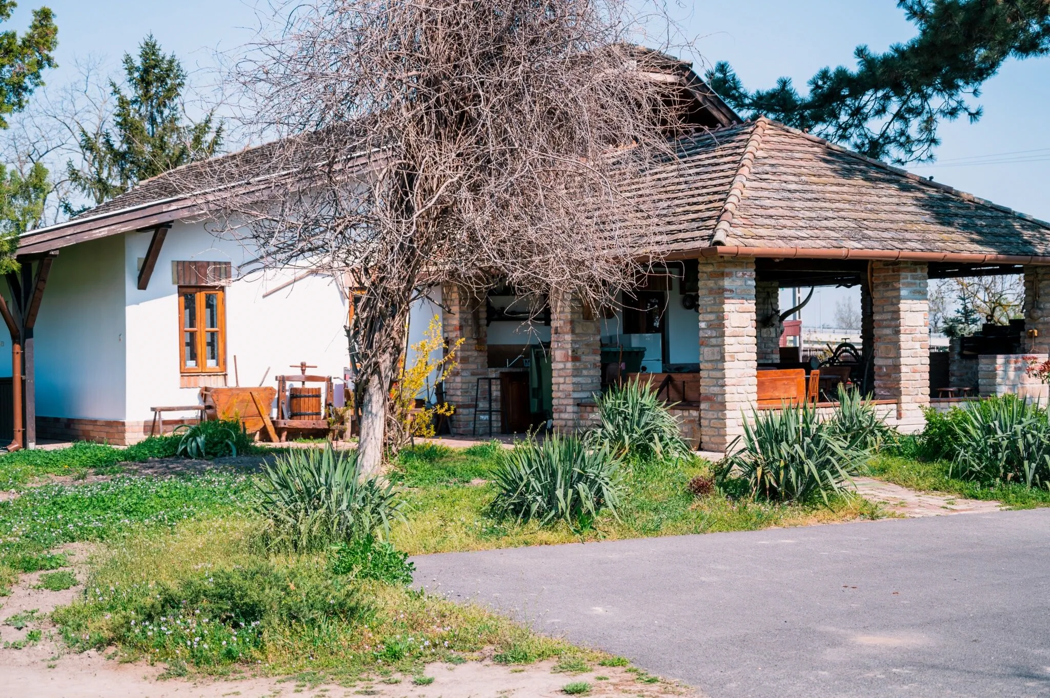 Sun City Vízisport Paradicsom Hódmezővásárhely – Hódmezővásárhely, Ungaria