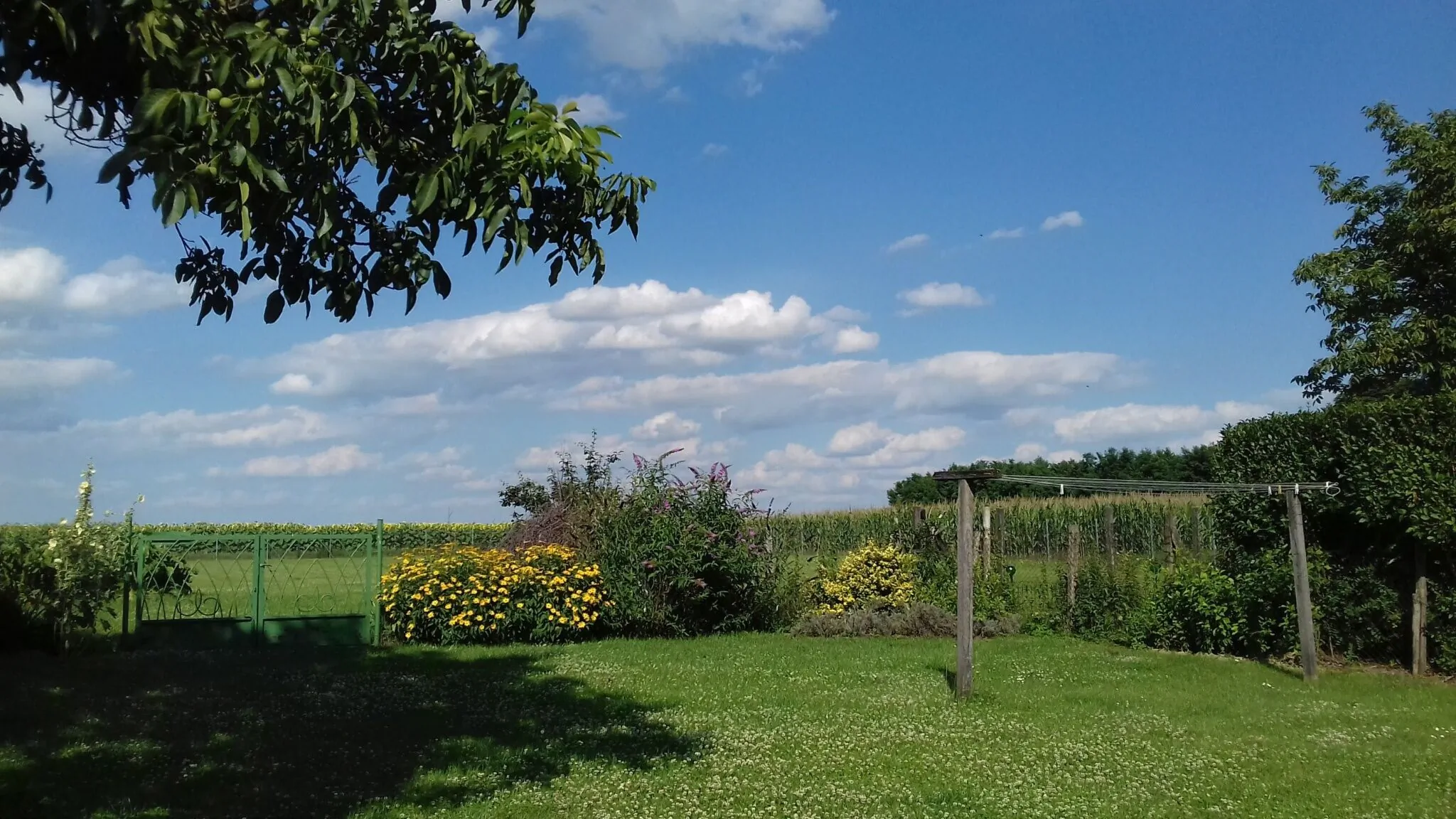 Ferienhaus Somlói Sellő - foto 7