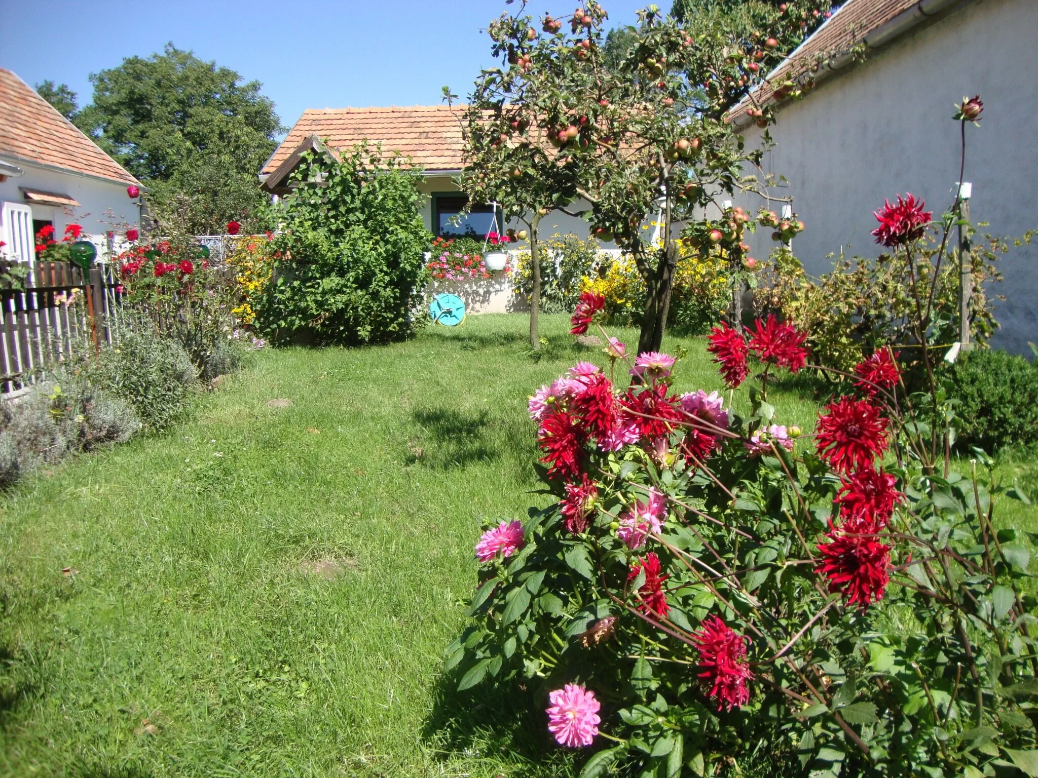 Ferienhaus Somlói Sellő - foto 6