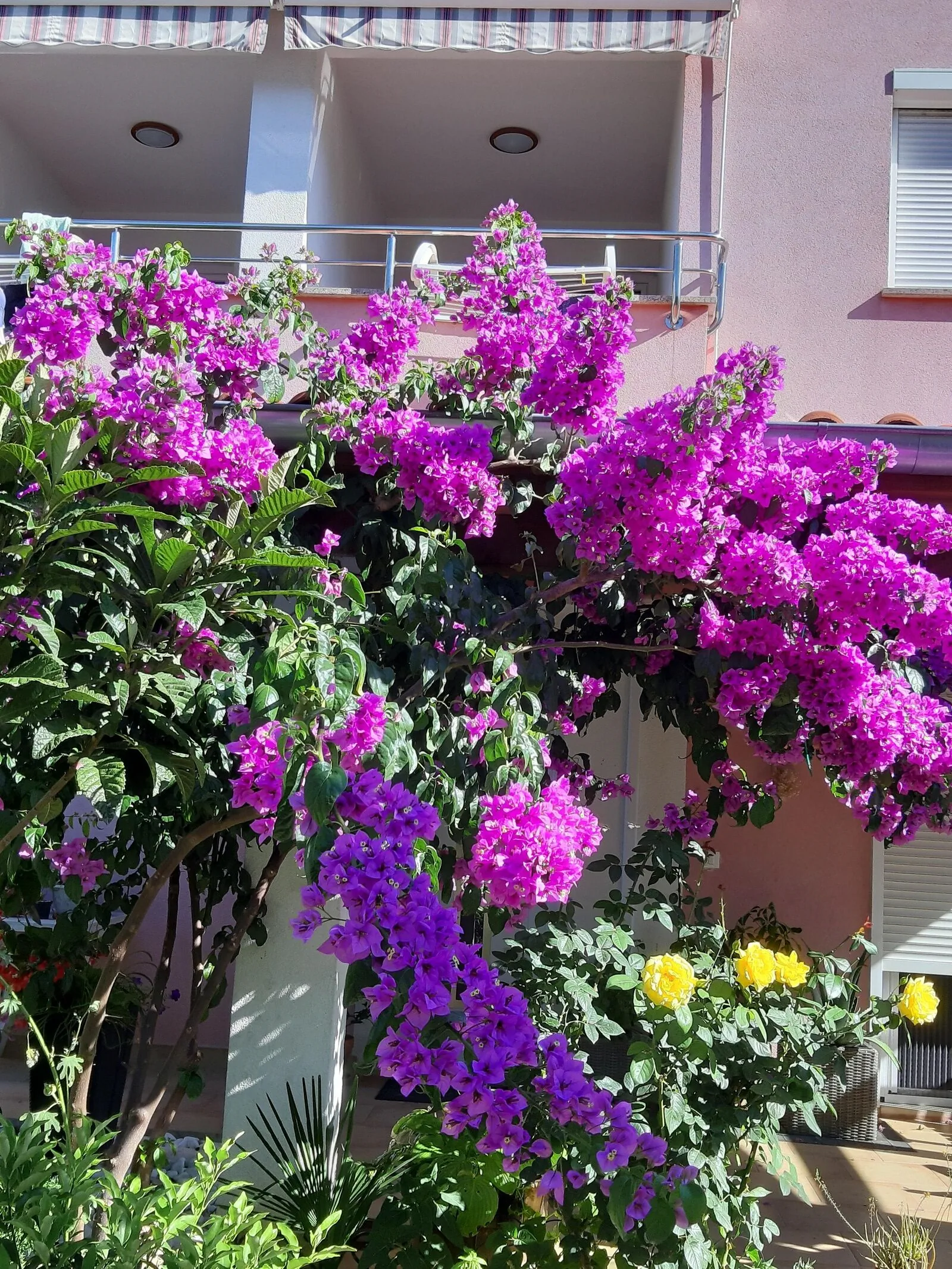 Apartment Ulika 3 Rovinj  – Rovinj, Croația
