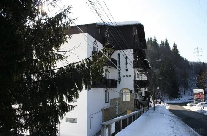 Pensiunea Alpin Predeal - foto 2
