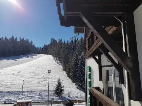 Pensiunea Alpin Predeal - foto 3