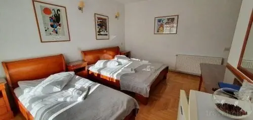 Pensiunea Alpin Predeal - foto 7