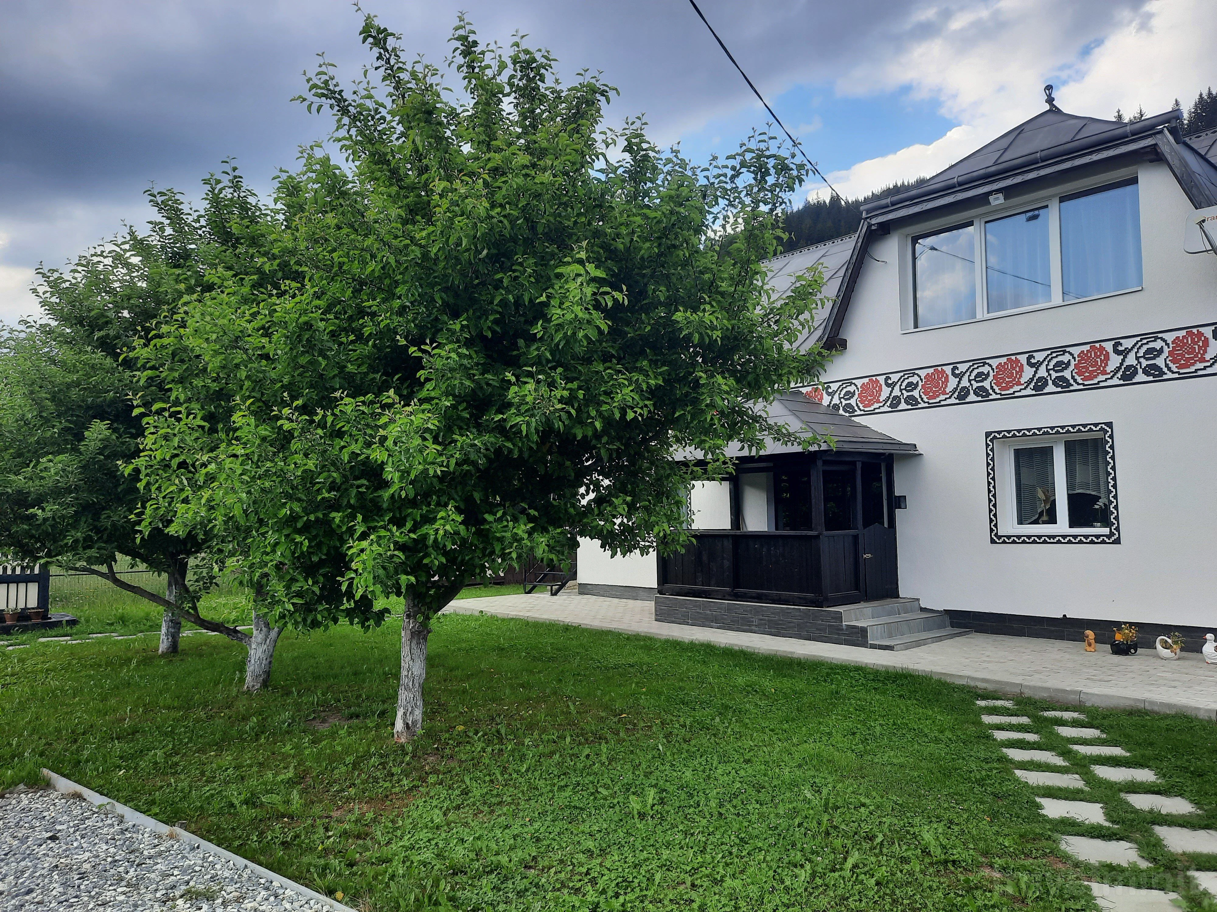 Casa Dumitru si Elena Ciocănești - foto 2