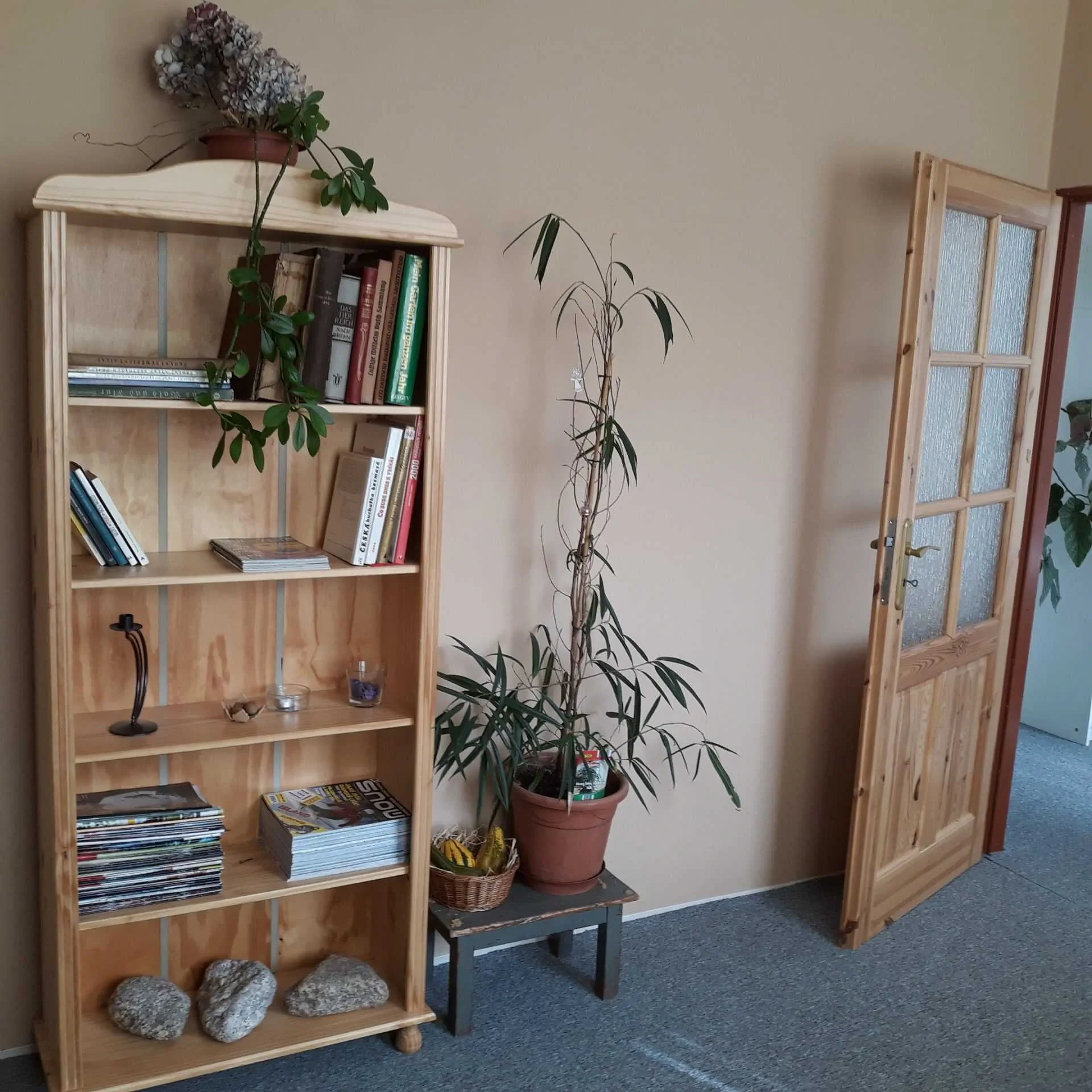Rychtrovna Bílý Potok – Bílý Potok, Česká republika