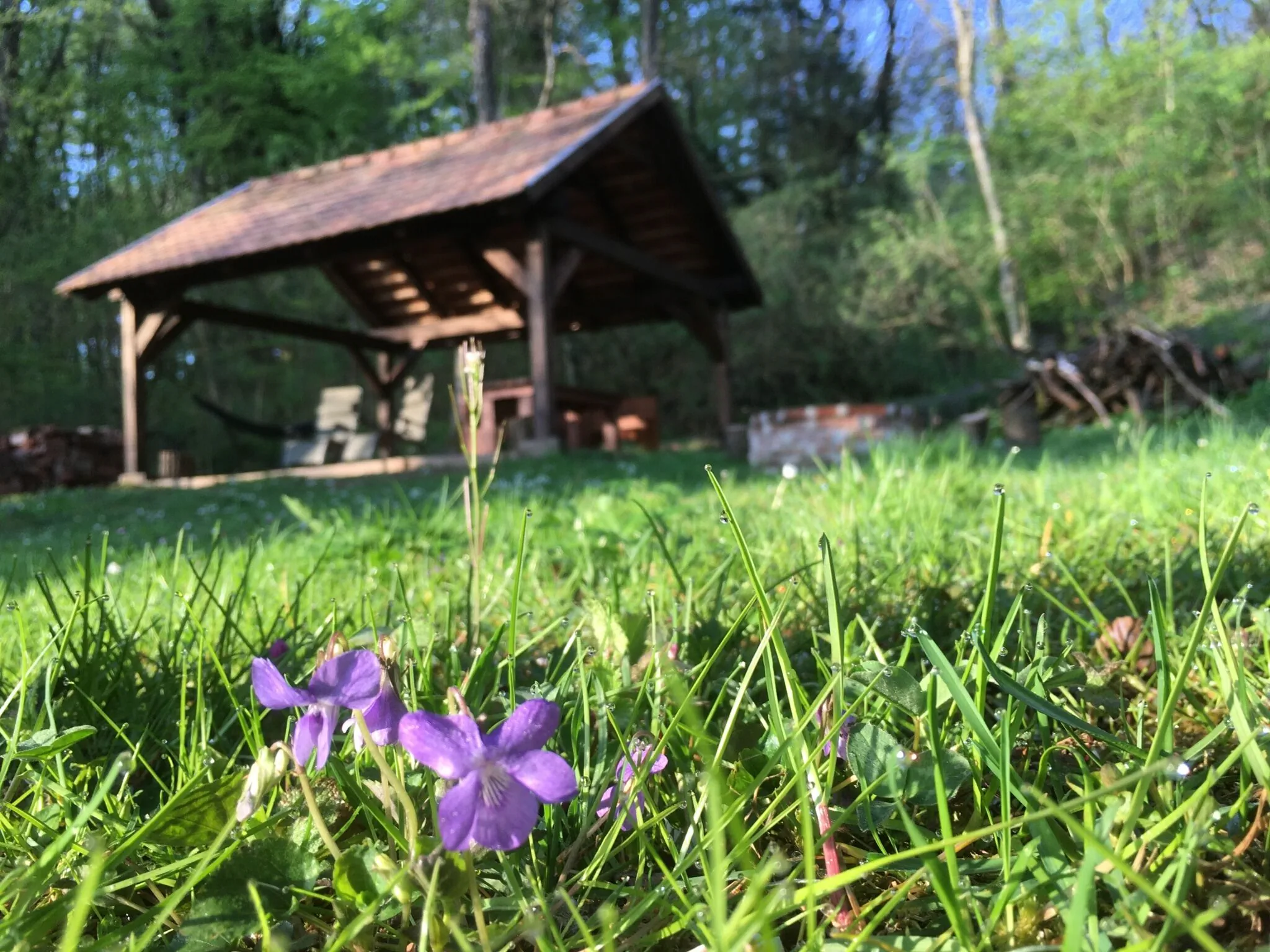 Vadalma Porta Vendégház Velemér – Velemér, Ungaria