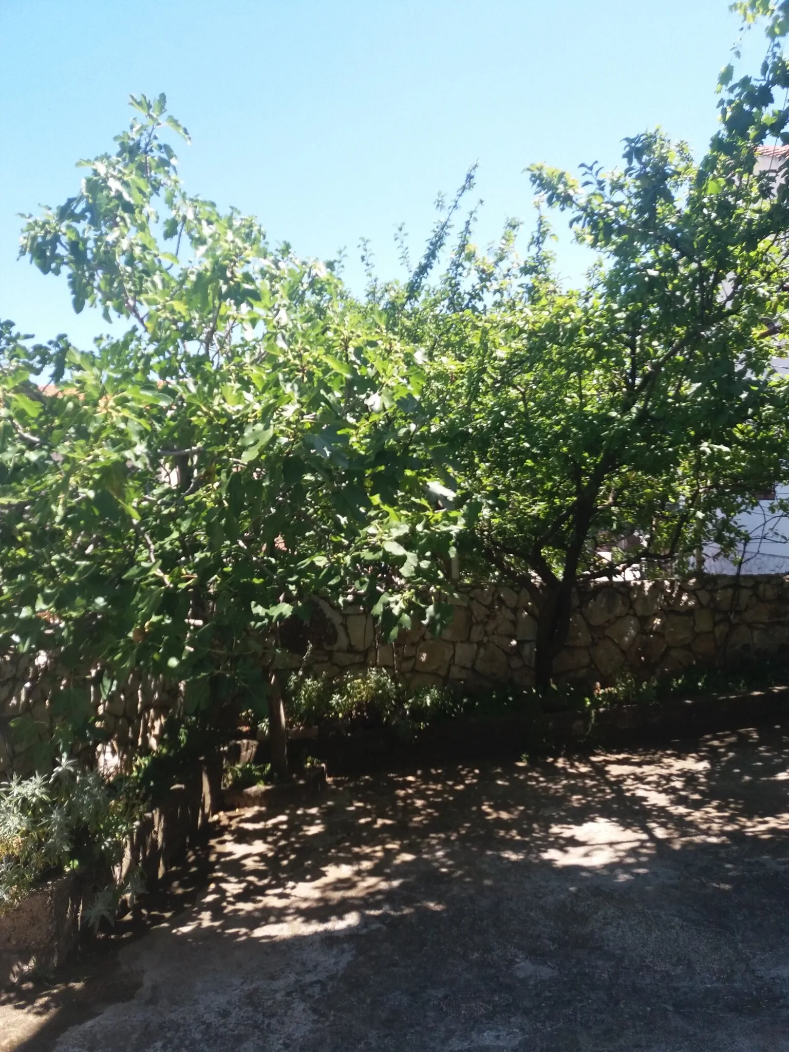Apartman Ema Okrug Gornji – Okrug Gornji, Croația
