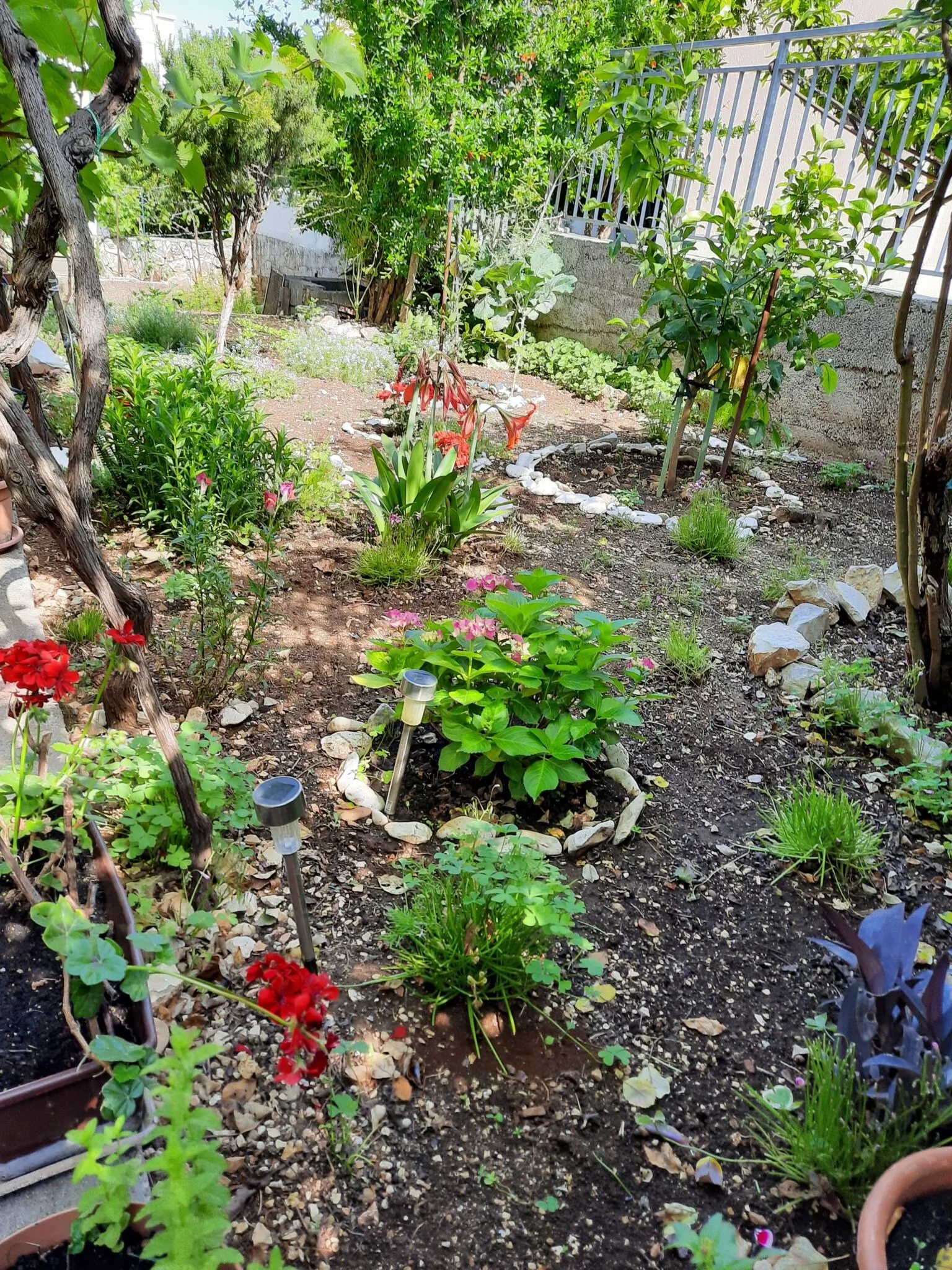 Apartman Ema Okrug Gornji – Okrug Gornji, Croația