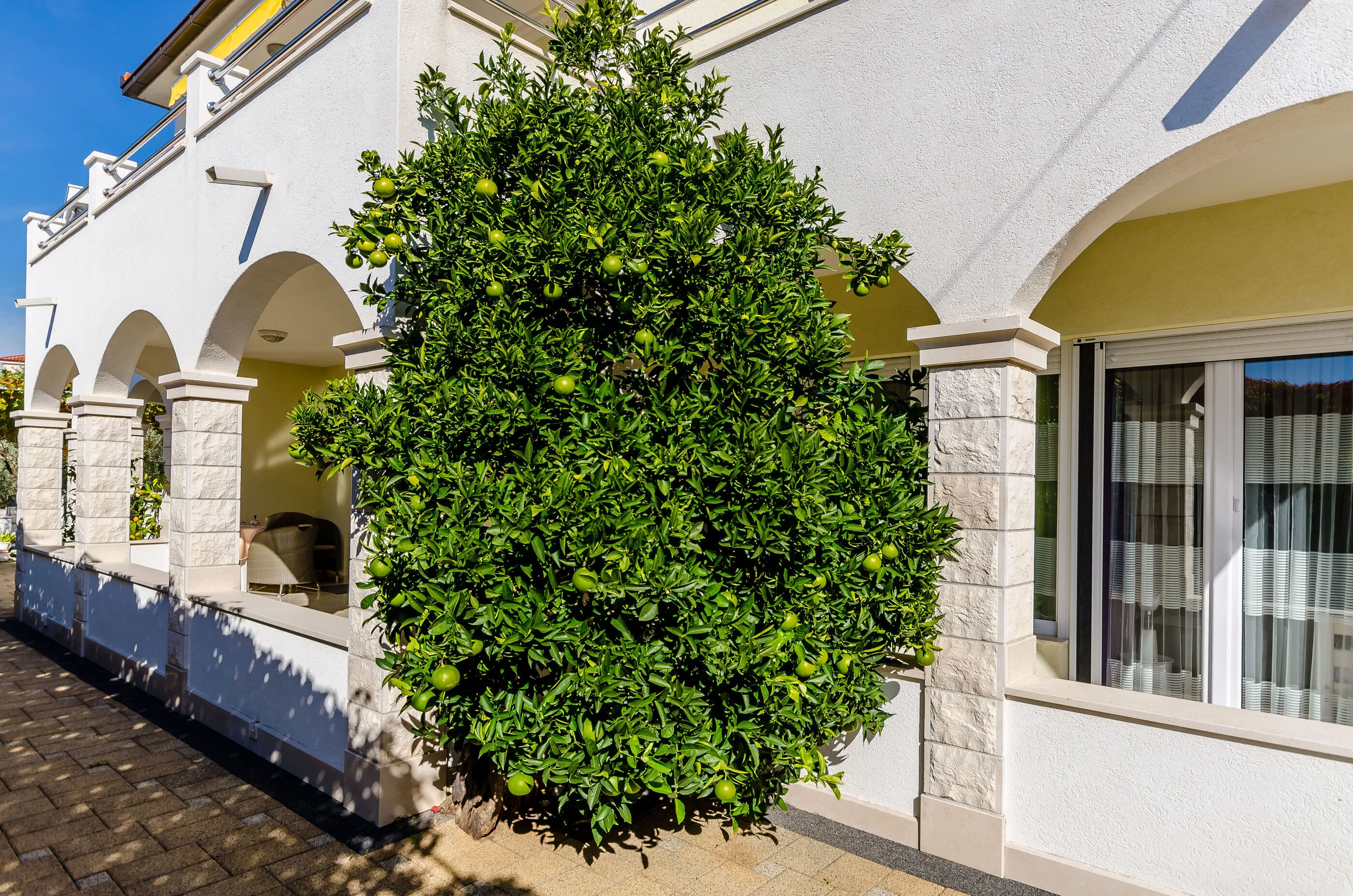 Apartments Palm tree Okrug Gornji - foto 6