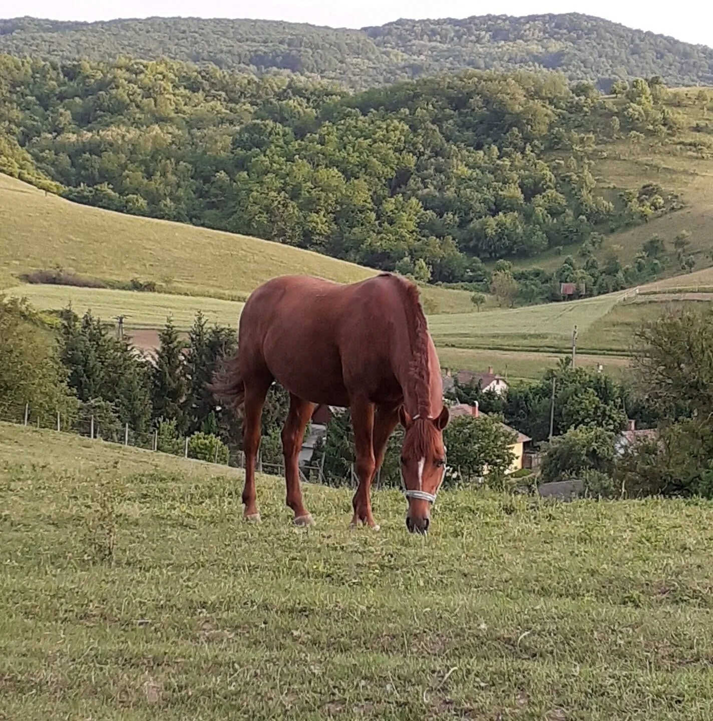 Paripa Vendégház Nógrádsipek – Nógrádsipek, Ungaria