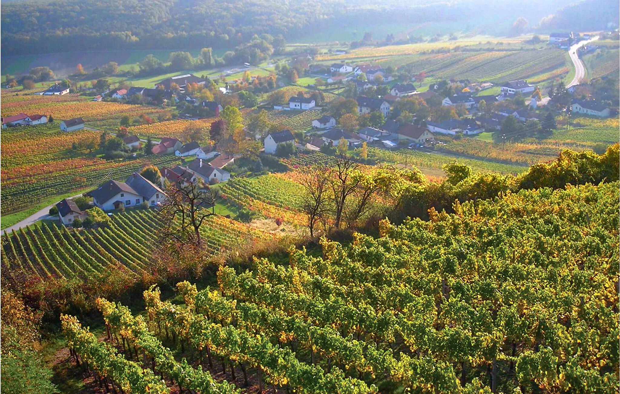 Vendégház Deutsch Schützen-Eisenberg - ABU118 – Deutsch Schützen-Eisenberg, Austria