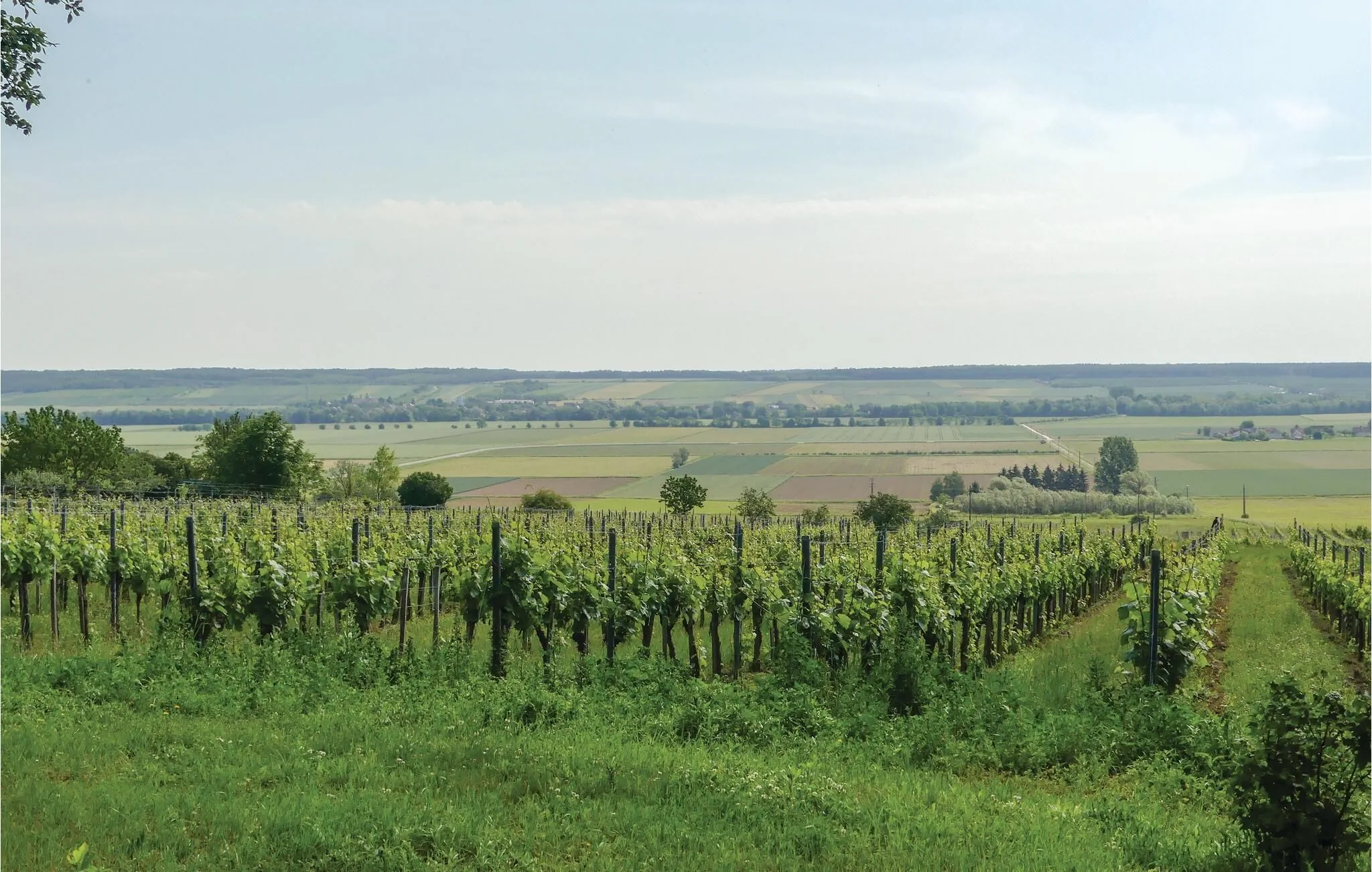 Vendégház Deutsch Schützen-Eisenberg - ABU163 – Deutsch Schützen-Eisenberg, Austria