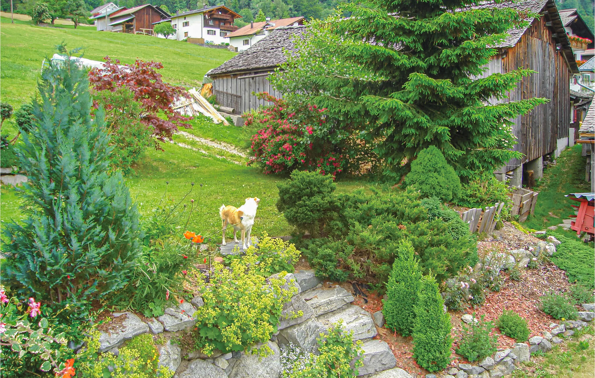 Apartman Sankt Gallenkirch - AVO065 – Sankt Gallenkirch, Austria